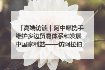 高端访谈｜阿中愿携手维护多边贸易体系和发展中国家利益——访阿拉伯议会议长亚马希