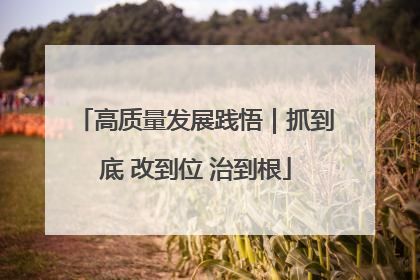 高质量发展践悟｜抓到底 改到位 治到根