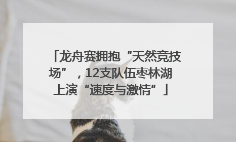 龙舟赛拥抱“天然竞技场”，12支队伍枣林湖上演“速度与激情”