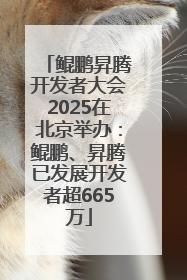 鲲鹏昇腾开发者大会2025在北京举办：鲲鹏、昇腾已发展开发者超665万