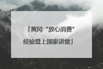 黄冈“放心消费”经验登上国家讲堂