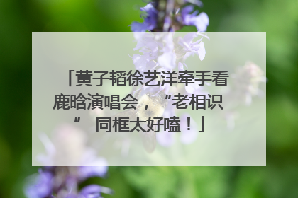 黄子韬徐艺洋牵手看鹿晗演唱会，“老相识” 同框太好嗑！