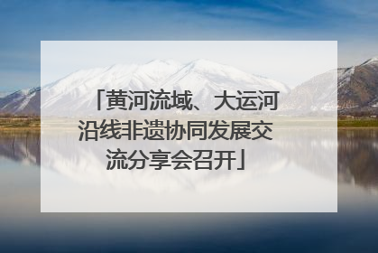 黄河流域、大运河沿线非遗协同发展交流分享会召开