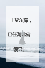黎东辉，已任湖北省领导