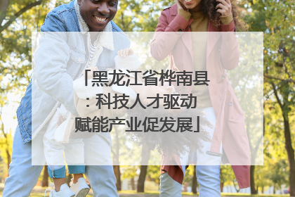 黑龙江省桦南县：科技人才驱动 赋能产业促发展