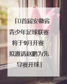 ﻿首届安徽省青少年足球联赛将于9月开赛 拟邀请赵鹏为先导赛开球