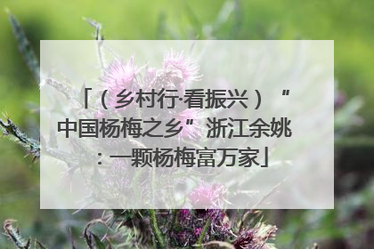 （乡村行·看振兴）“中国杨梅之乡”浙江余姚：一颗杨梅富万家