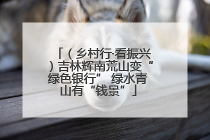 （乡村行·看振兴）吉林辉南荒山变“绿色银行” 绿水青山有“钱景”