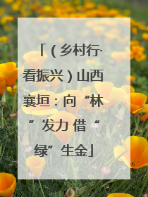 （乡村行·看振兴）山西襄垣：向“林”发力 借“绿”生金