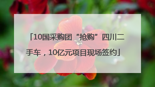 10国采购团“抢购”四川二手车，10亿元项目现场签约