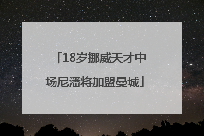 18岁挪威天才中场尼潘将加盟曼城