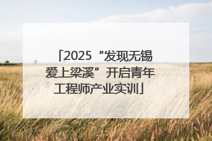 2025“发现无锡 爱上梁溪”开启青年工程师产业实训