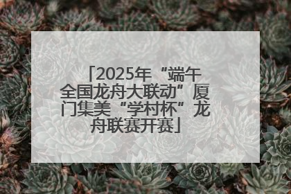 2025年“端午全国龙舟大联动”厦门集美“学村杯”龙舟联赛开赛