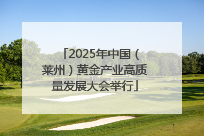 2025年中国（莱州）黄金产业高质量发展大会举行