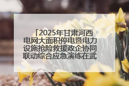 2025年甘肃河西电网大面积停电暨电力设施抢险救援政企协同联动综合应急演练在武威成功举行