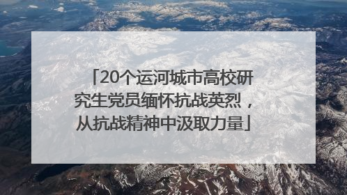 20个运河城市高校研究生党员缅怀抗战英烈，从抗战精神中汲取力量