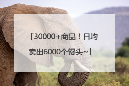 30000+商品！日均卖出6000个馒头~