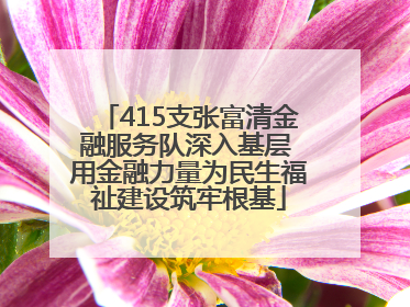 415支张富清金融服务队深入基层 用金融力量为民生福祉建设筑牢根基