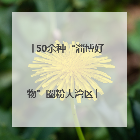 50余种“淄博好物”圈粉大湾区