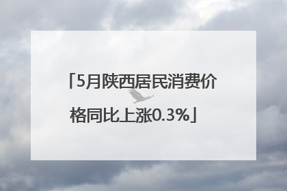 5月陕西居民消费价格同比上涨0.3%