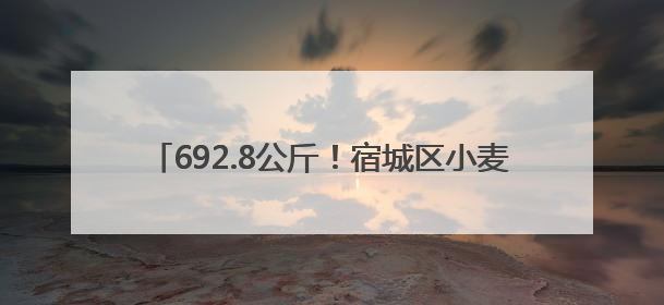 692.8公斤！宿城区小麦百亩示范方平均亩产创新高