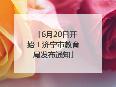 6月20日开始！济宁市教育局发布通知