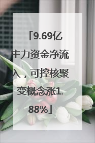 9.69亿主力资金净流入，可控核聚变概念涨1.88%
