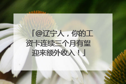 @辽宁人，你的工资卡连续三个月有望迎来额外收入！