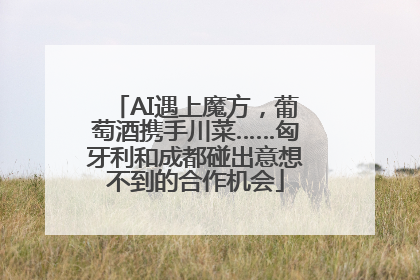 AI遇上魔方，葡萄酒携手川菜……匈牙利和成都碰出意想不到的合作机会