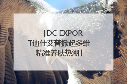 DC EXPORT迪仕艾普掀起多维精准养肤热潮