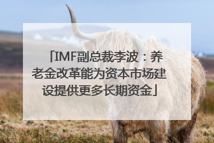 IMF副总裁李波：养老金改革能为资本市场建设提供更多长期资金