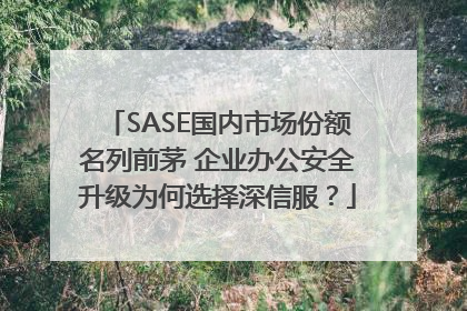 SASE国内市场份额名列前茅 企业办公安全升级为何选择深信服？